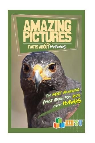 Amazing Pictures and Facts about Hawks