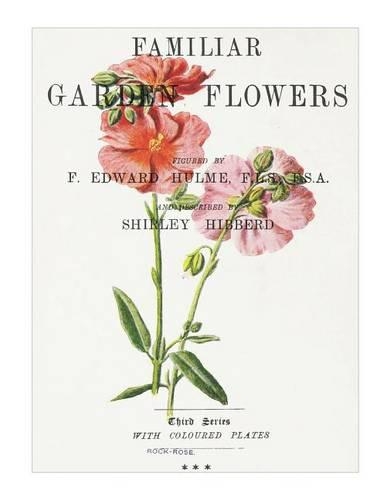 Familiar Garden Flowers