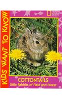 Cottontails