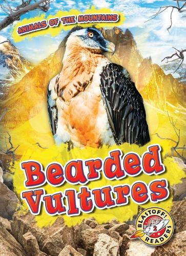 Bearded Vultures