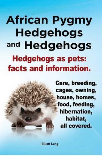 African Pygmy Hedgehogs and Hedgehogs. Hedgehogs as Pets