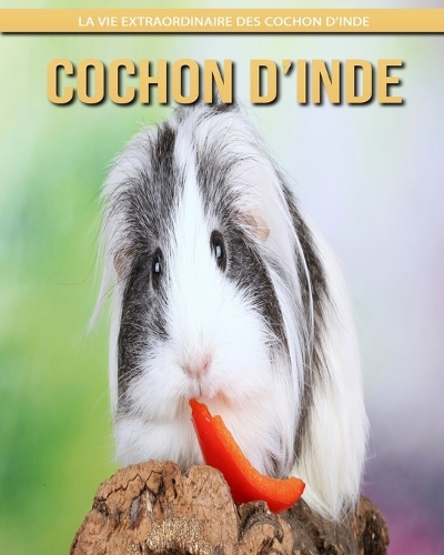 Cochon d'Inde
