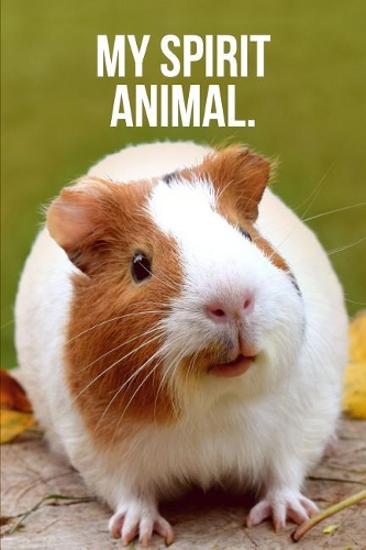 My Spirit Animal