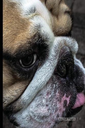 Journal Pages - Close Up Dog (Bullet Journal)