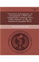 Functional Neuroanatomy of Neuropeptide y (Npy) and Corticotropin Releasing Factor (Crf) Receptors in the Rat Basolateral Amygdala (Bla)