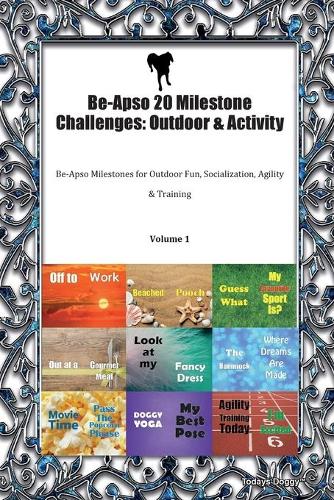 Be-Apso 20 Milestone Challenges