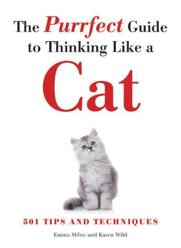 The Purrfect Guide to Thinking Like a Cat