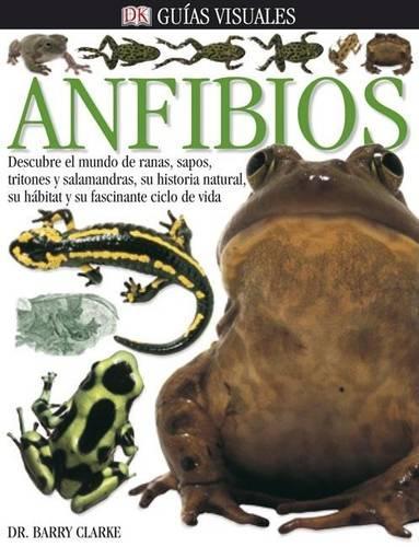 Anfibios