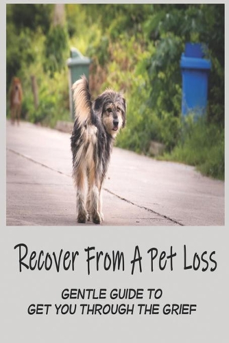Recover From A Pet Loss