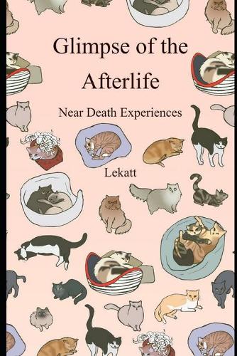 Glimpse of the Afterlife