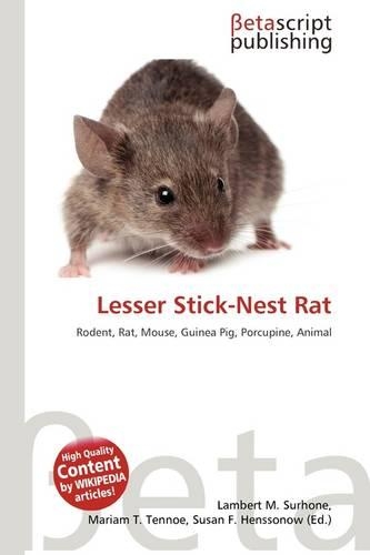 Lesser Stick-Nest Rat