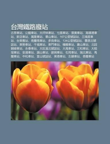 Tai W N Ti Lu Fei Zhan