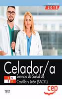 Celador. Servicio de Salud de Castilla y Leon (SACYL). Test
