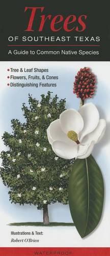 Trees of Southeast Texas