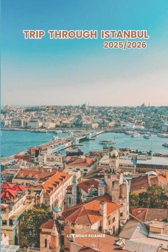 Trip through Istanbul 2025/2026