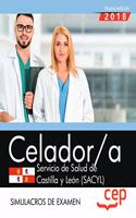 Celador. Servicio de Salud de Castilla y Leon (SACYL). Simulacros de Examen