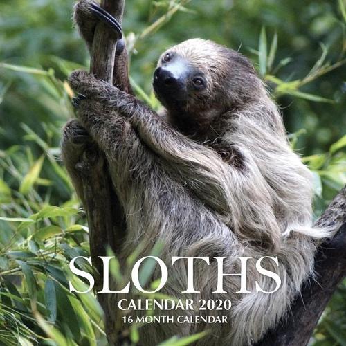 Sloths Calendar 2020