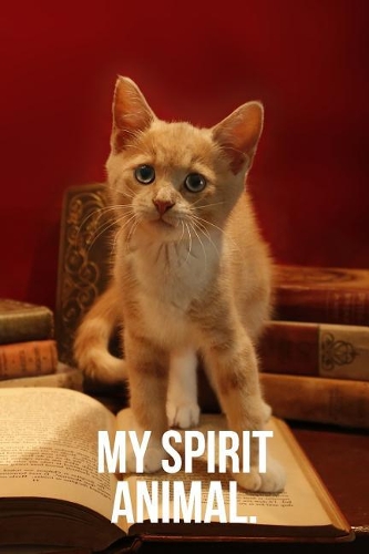 My Spirit Animal