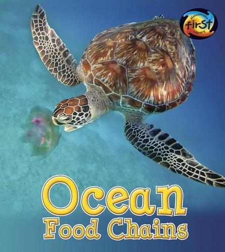 Ocean Food Chains