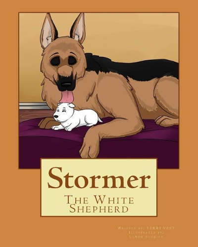 Stormer