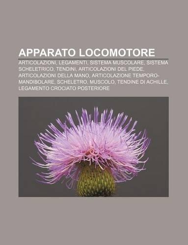 Apparato Locomotore