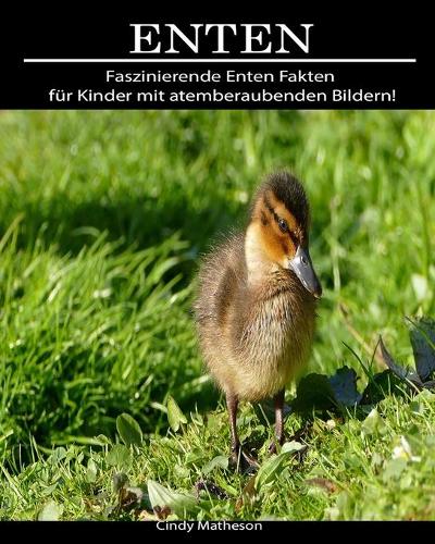 Enten