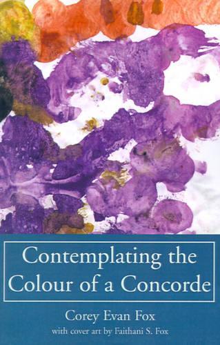 Contemplating the Colour of a Concorde