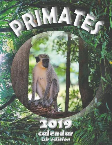 Primates 2019 Calendar (UK Edition)