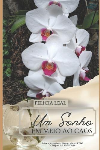 Um Sonho em meio ao Caos