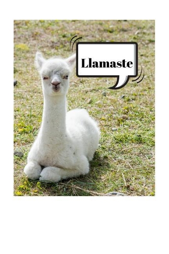 Llamaste