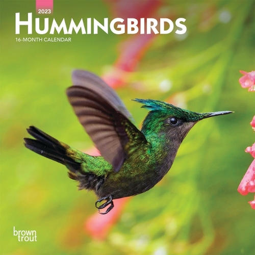 Hummingbirds 2023 Mini 7x7