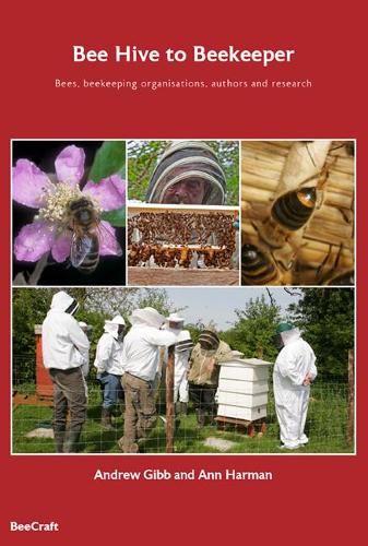 Bee Hive to Beekeeper