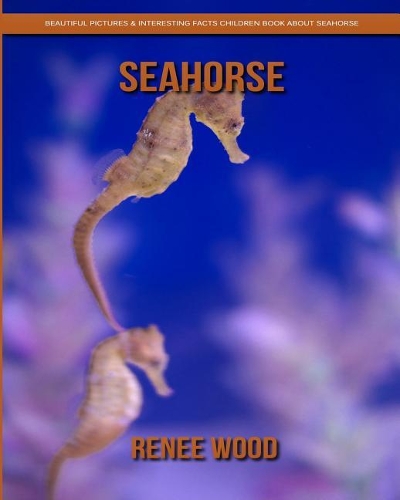 Seahorse