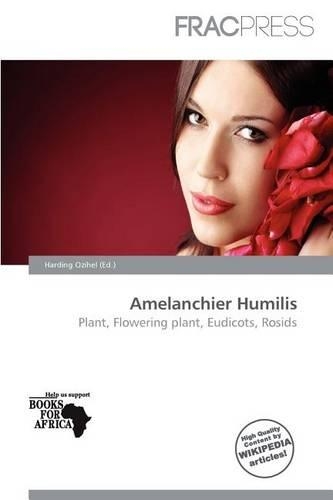 Amelanchier Humilis