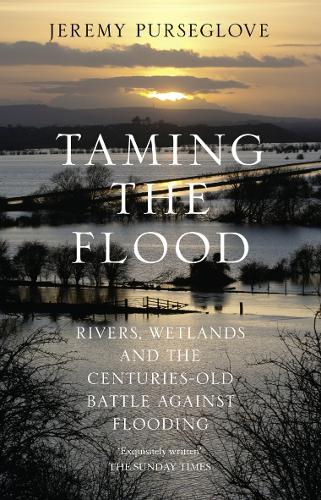 Taming the Flood