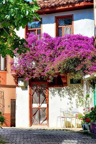 A Charming House with Blooming Bougainvillea Flowers in the Summer Journal