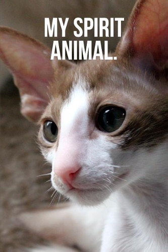 My Spirit Animal