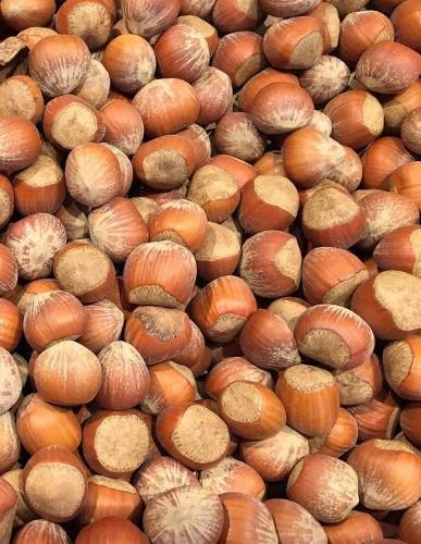 Hazelnuts