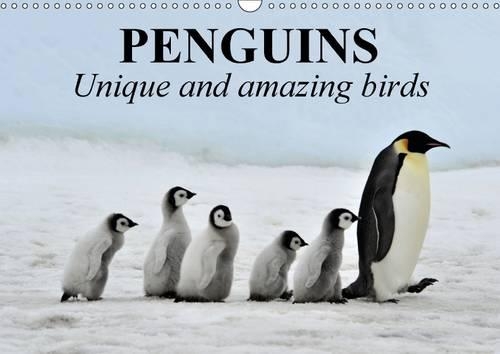 Penguins Unique and amazing birds 2015