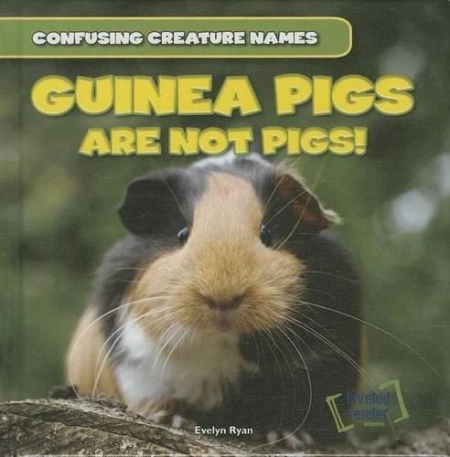 Guinea Pigs Are Not Pigs!
