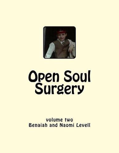 Vol. 2, Open Soul Surgery, Large Print Edition
