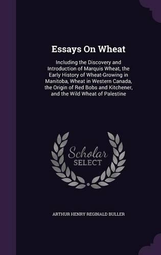 Essays on Wheat