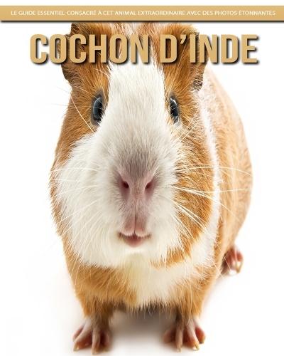 Cochon d'Inde