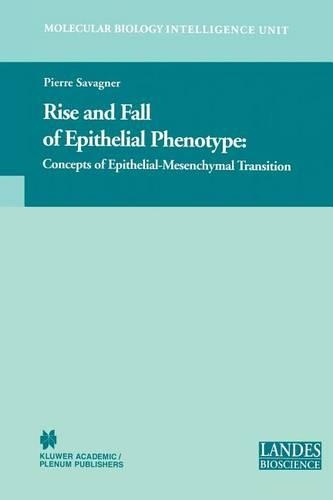 Rise and Fall of Epithelial Phenotype