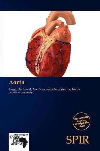 Aorta