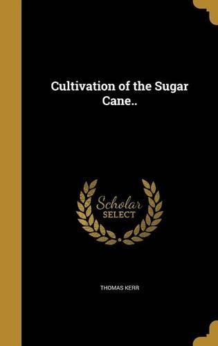 Cultivation of the Sugar Cane..