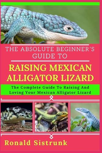 The Absolute Beginner's Guide to Raising Mexican Alligator Lizard