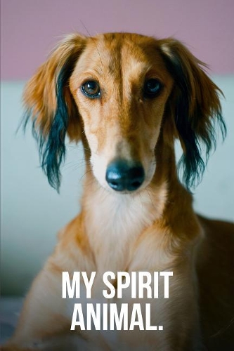 My Spirit Animal
