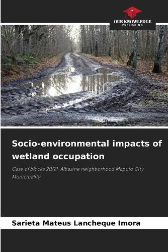 Socio-environmental impacts of wetland occupation