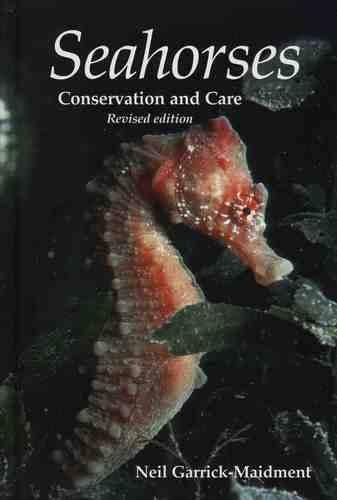 Seahorses